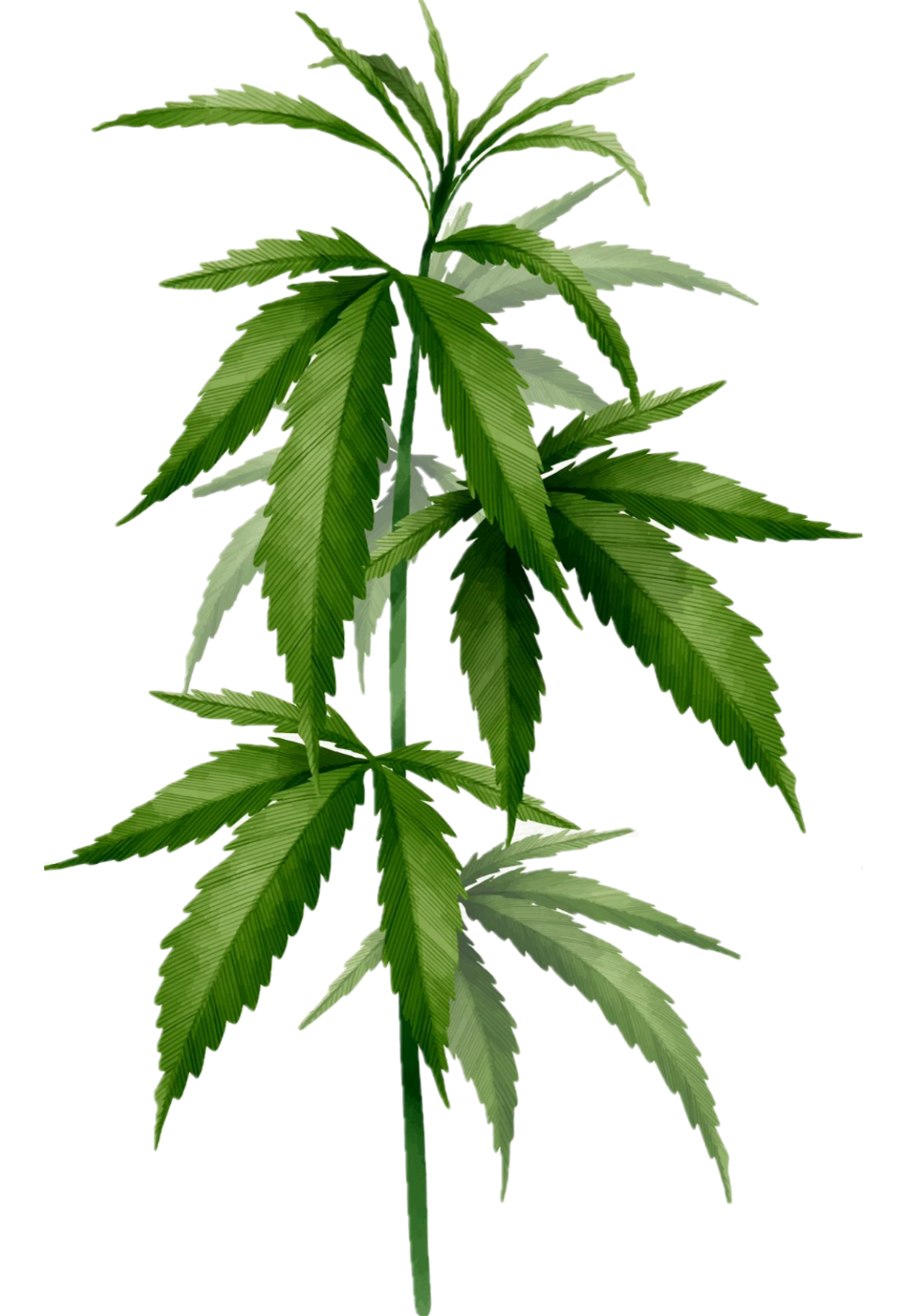 o nas_obraz po prawej